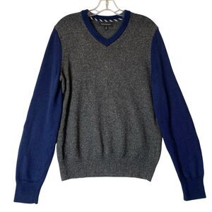 Banana Republic Merino Wool Silk Sweater Men M Blue V-neck Pullover Preppy